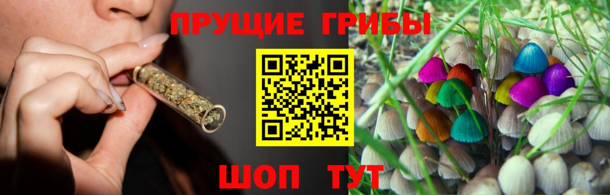 Ростов Великий  Галлюциногенные грибы Cubensis  Вход с VPN 